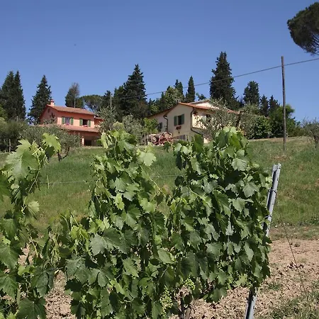 Agriturismo Podere Poggio Ai Cieli Farm stay *
