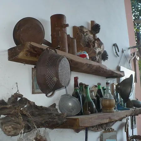 Farm stay Agriturismo Podere Poggio Ai Cieli